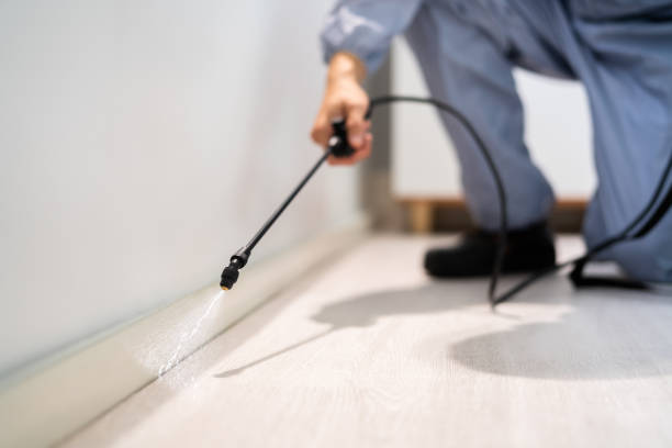 Licensed Rodent Control service in North Charleroi, PA - Nex Pest Control
