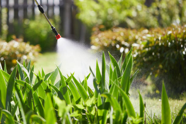 24/7 Emergency Rodent Control experts in North Charleroi, PA