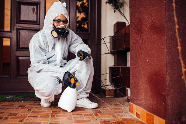 Reliable Rodent Control contractor in North Charleroi, PA by Nex Pest Control