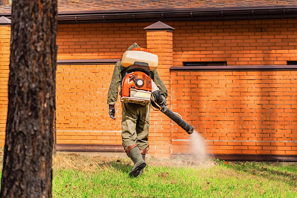 Trusted Termite Control service in North Charleroi, PA - Nex Pest Control